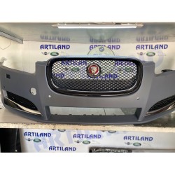 Jaguar xe panpon. Demiri