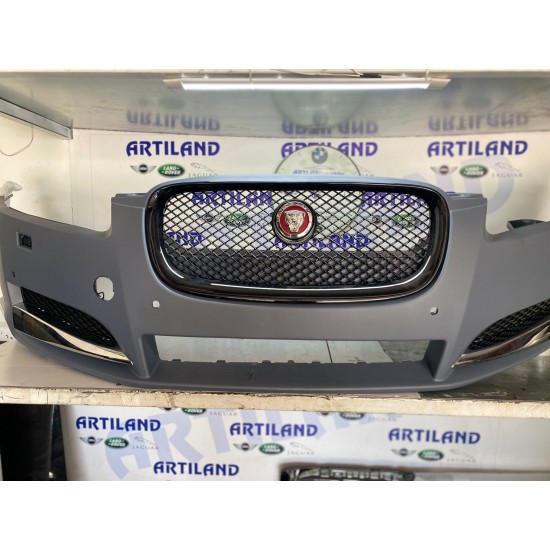 Jaguar xe panpon. Demiri